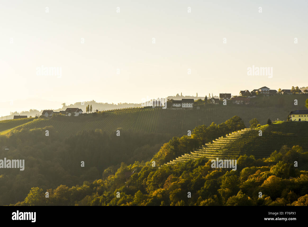 Römer Straße, Römerstraße, Sausal, Steiermark, Österreich, Einoed Stockfoto