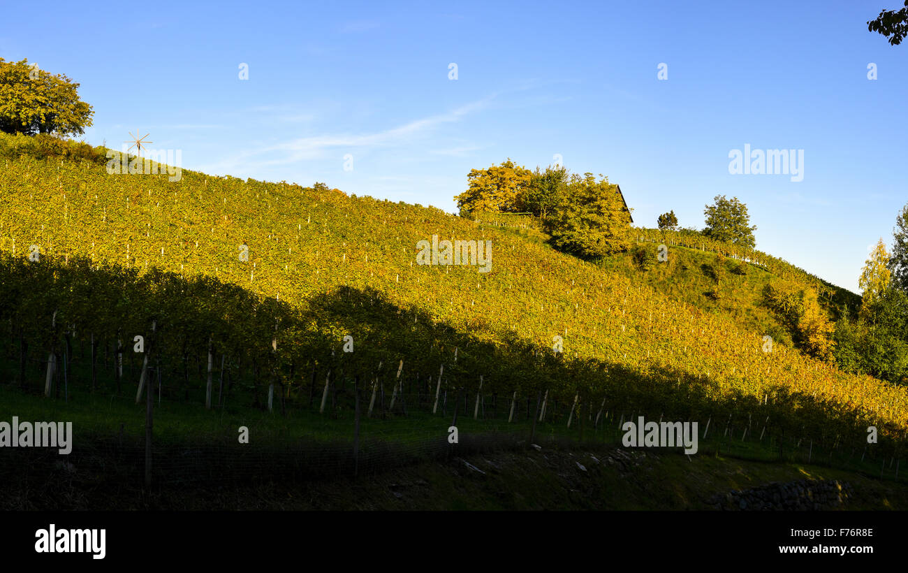 Weingut Peter Stöckl, Schilcher Weinstraße, Steiermark, Deutschlandsberg Stockfoto