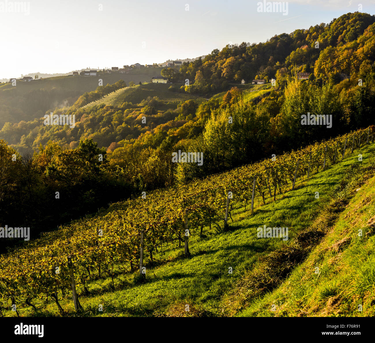 Römer Straße, Römerstraße, Sausal, Steiermark, Österreich, Einoed Stockfoto