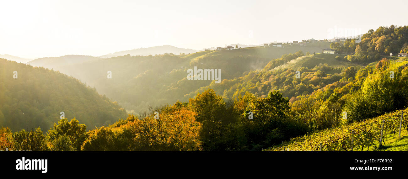 Römer Straße, Römerstraße, Sausal, Steiermark, Österreich, Einoed Stockfoto