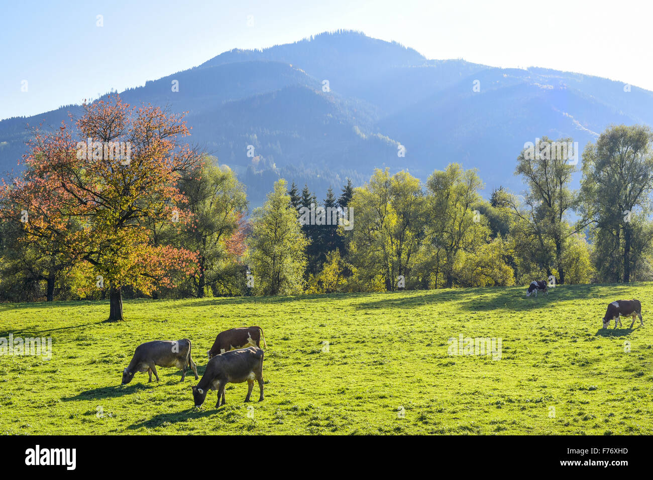 Ennstal, Steiermark, Österreich Stockfoto