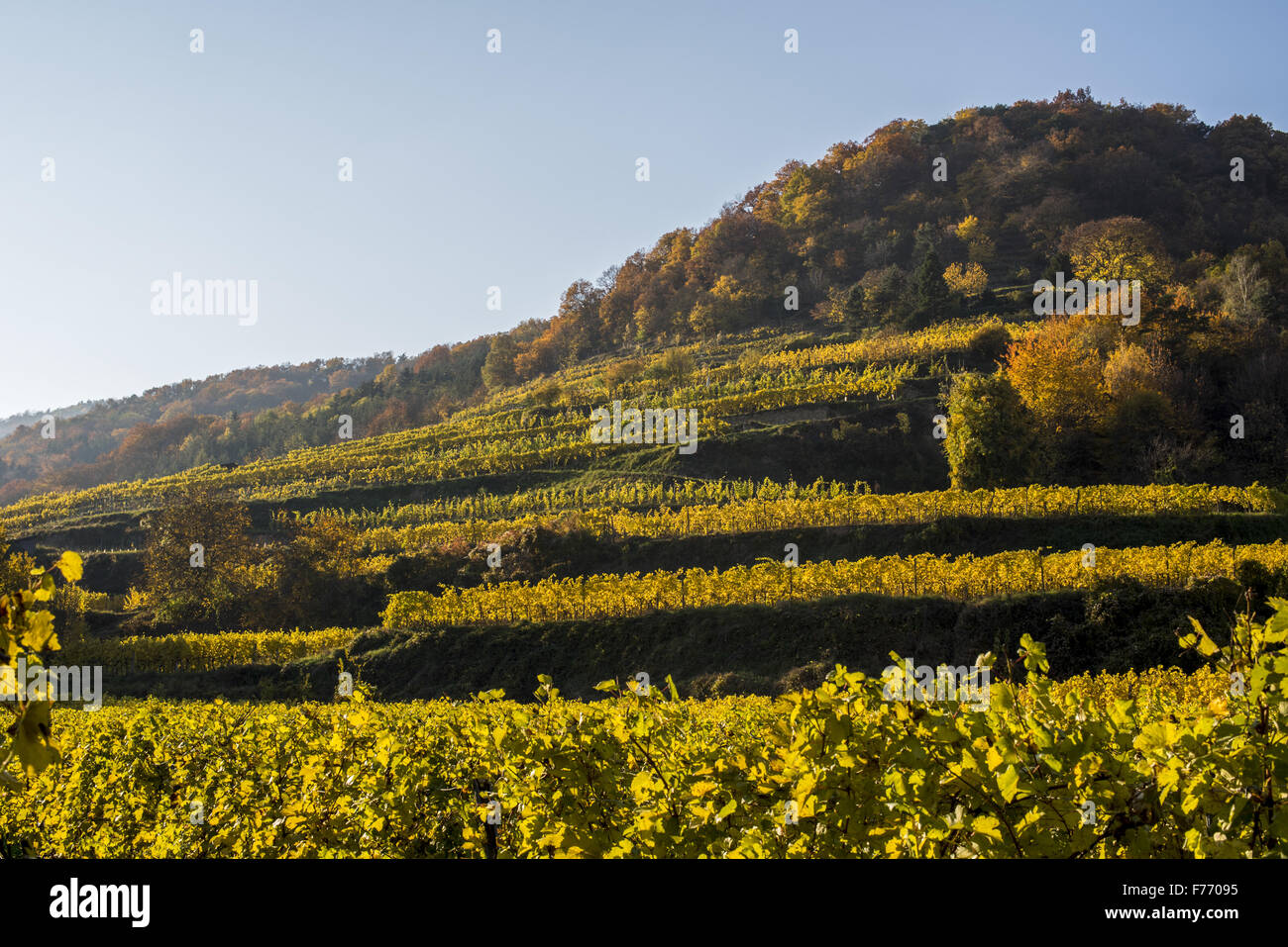 Wachau, Österreich, Niederösterreich, Dürnstein Stockfoto