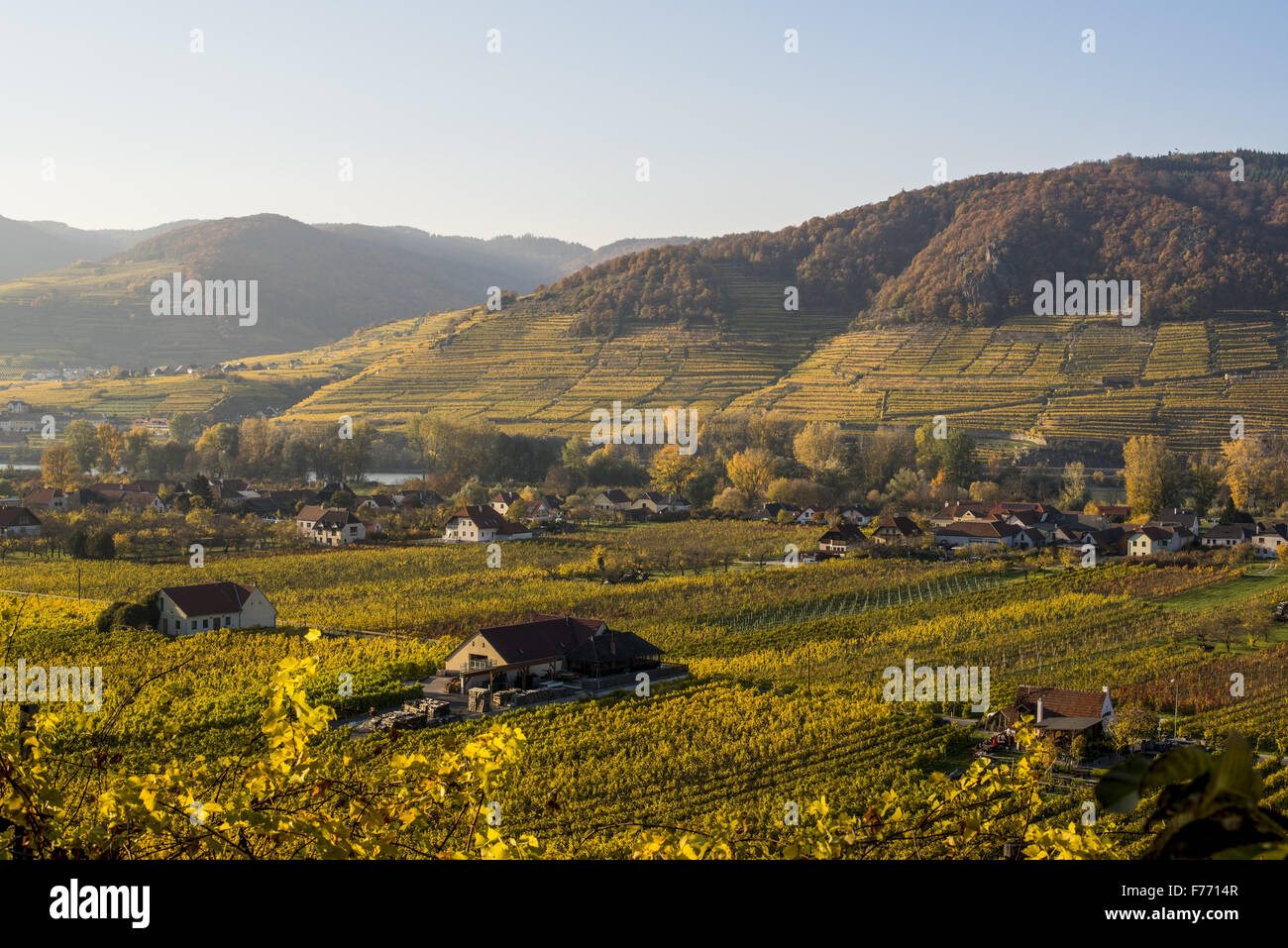 Wachau, Österreich, Niederösterreich, Weissenkirchen Stockfoto