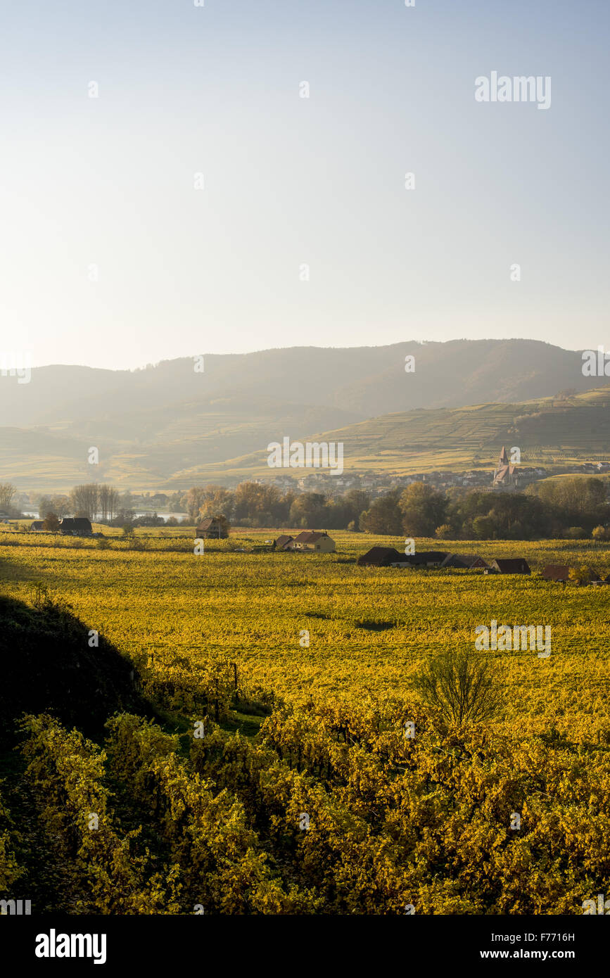 Wachau, Österreich, Niederösterreich, Weissenkirchen Stockfoto