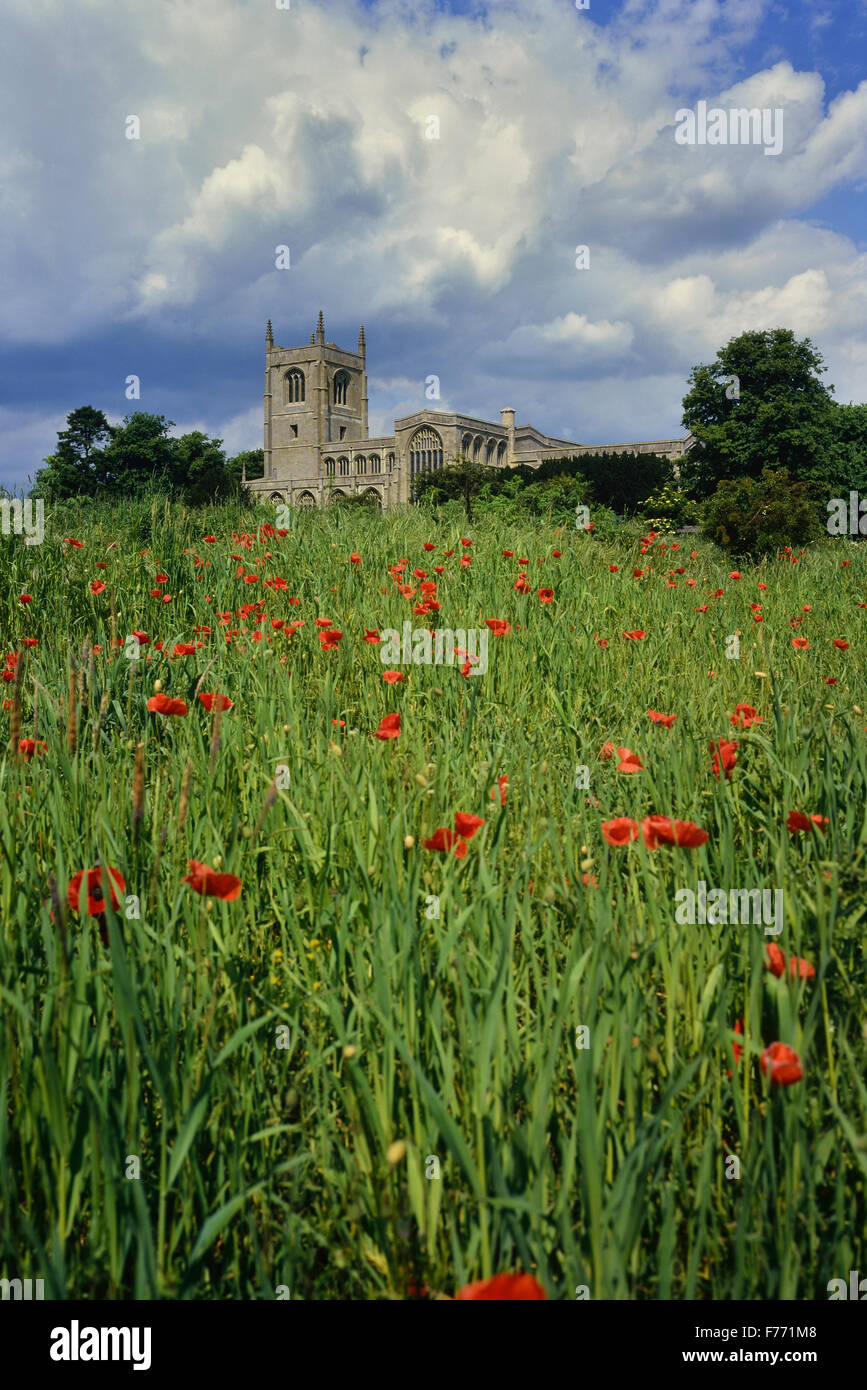 Heilige Dreifaltigkeit Stiftskirche, Tattershall, Lincolnshire, England, Großbritannien Stockfoto