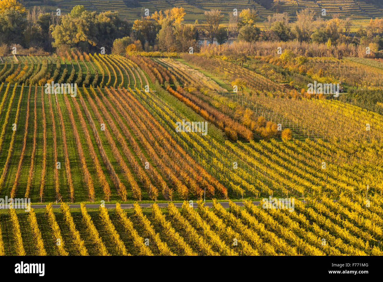 Wachau, Österreich, Niederösterreich, Weissenkirchen Stockfoto