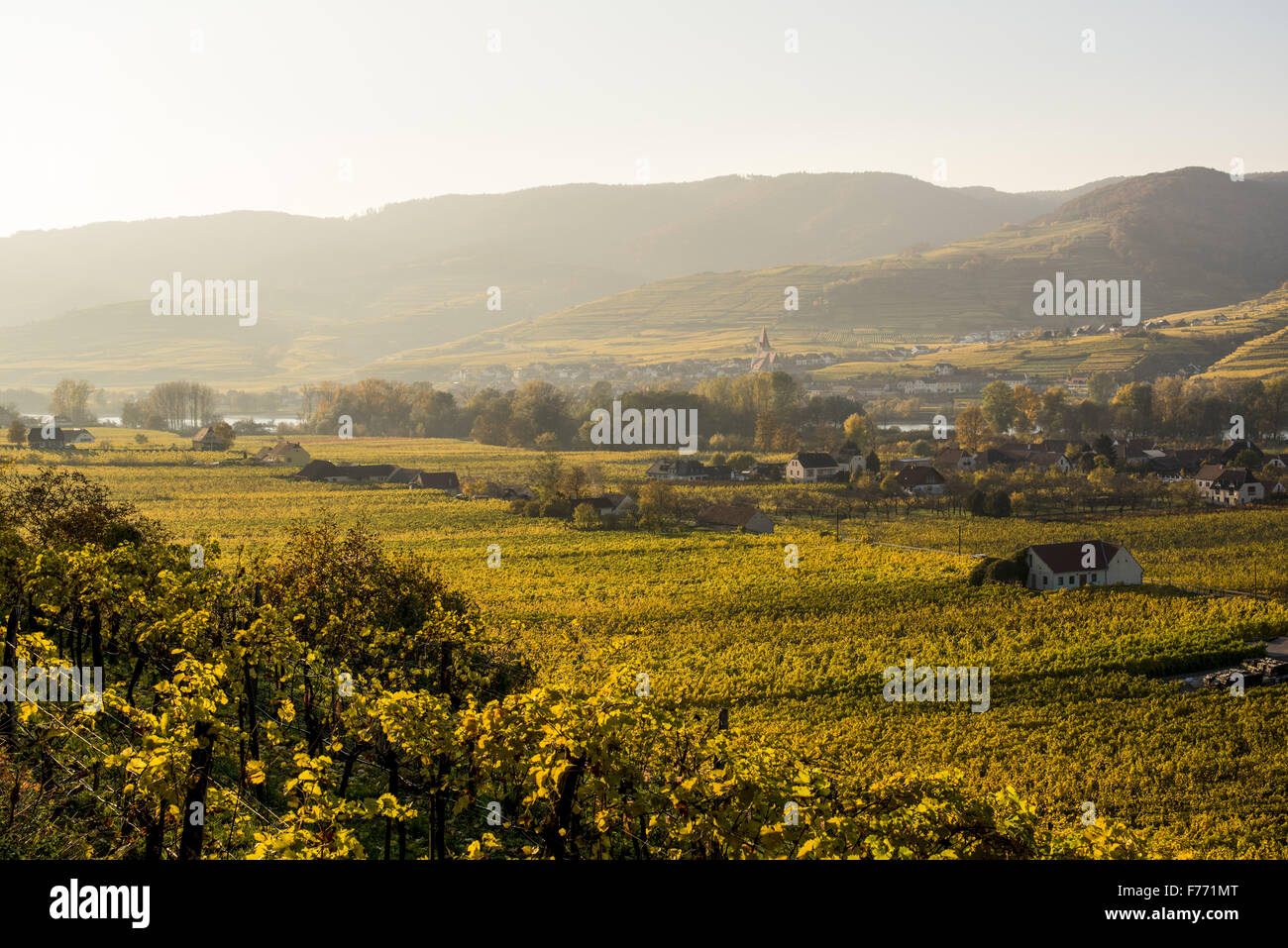 Wachau, Österreich, Niederösterreich, Weissenkirchen Stockfoto