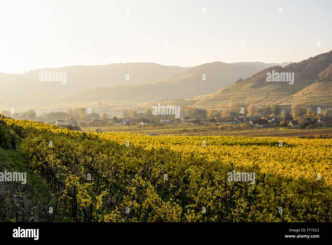 Wachau, Österreich, Niederösterreich, Weissenkirchen Stockfoto