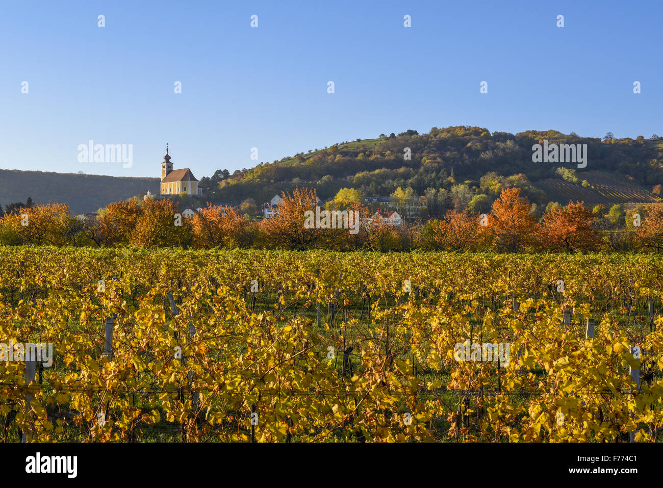 Donnerkirchen, Burgenland, Österreich, Austria, Donnerskirchen Stockfoto