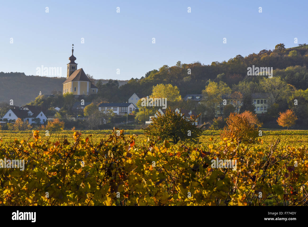 Donnerkirchen, Burgenland, Österreich, Austria, Donnerskirchen Stockfoto