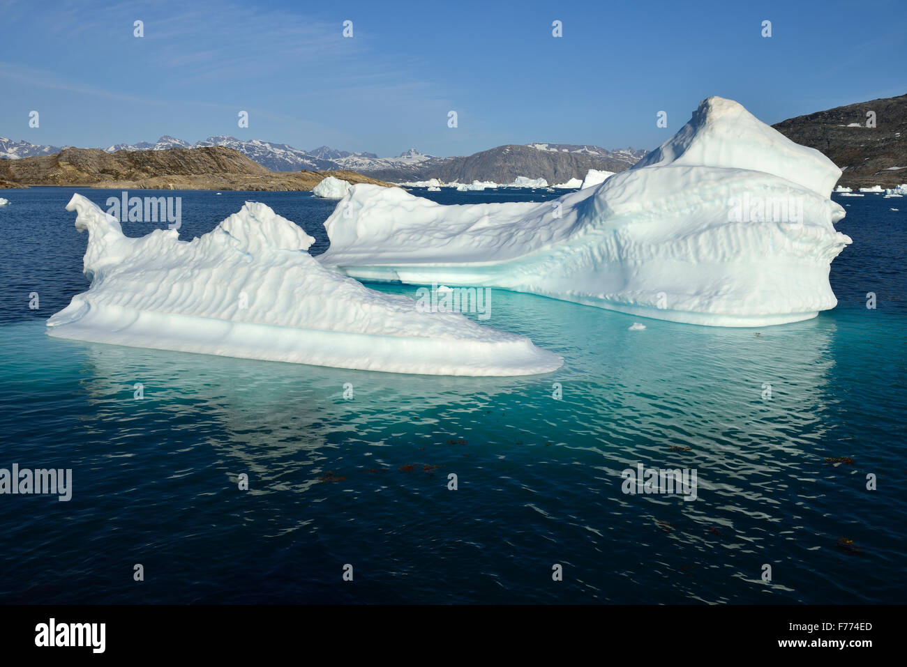 Eisberg treiben im Tasiilaartik-Fjord, Kalaallit Nunaat, Ostgrönland, Grönland Stockfoto