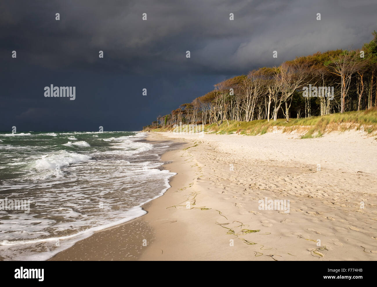 Dunkle Wolken über den westlichen Strand und Darßer Wald an der Ostsee, geboren am Fischland-Zingst, Western Pomerania Lagune Stockfoto