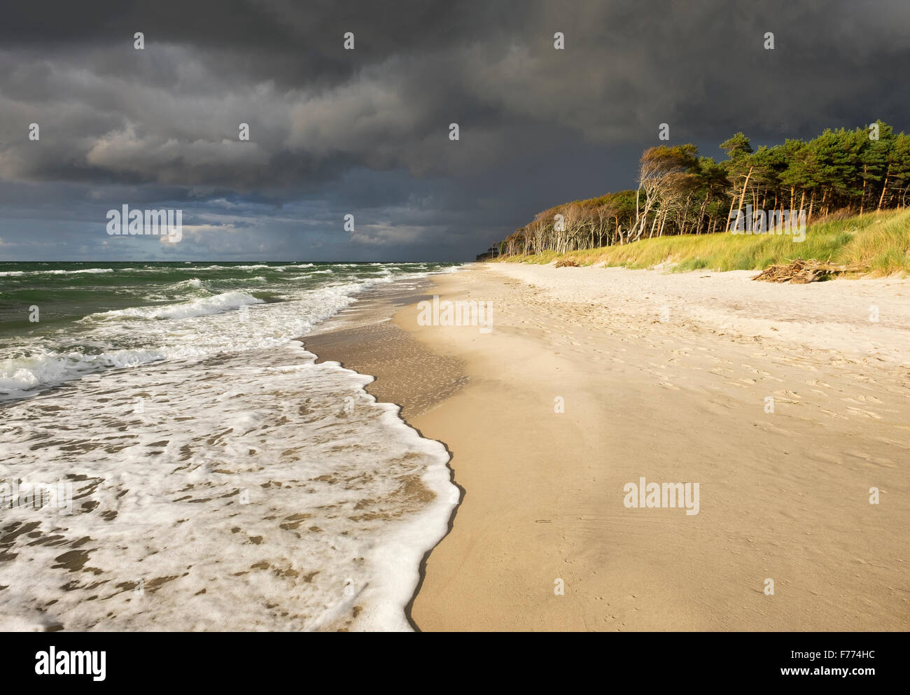 Dunkle Wolken über den westlichen Strand und Darßer Wald an der Ostsee, geboren am Fischland-Zingst, Western Pomerania Lagune Stockfoto