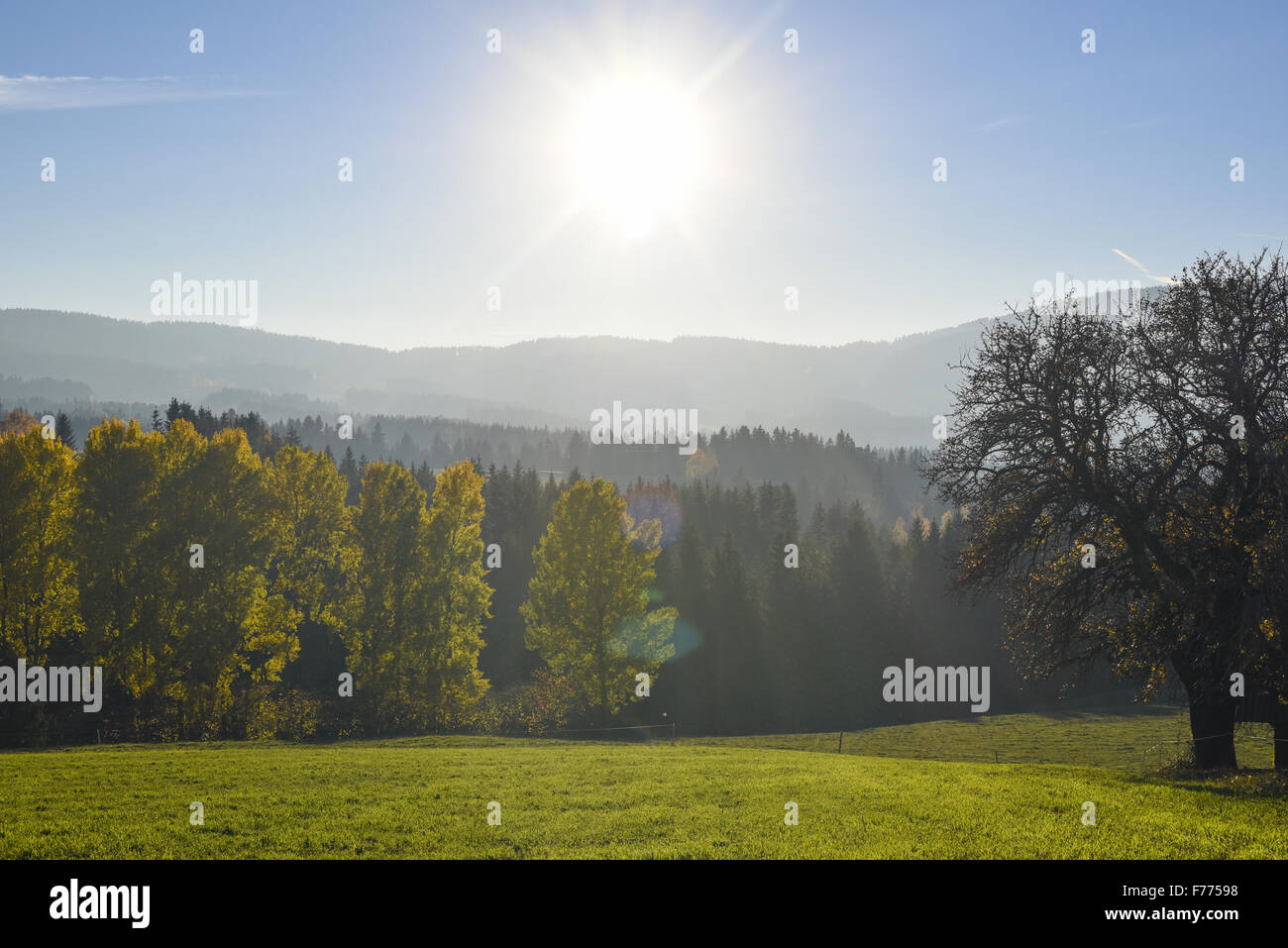 Vorau-Puchegg, Steiermark, Österreich, Vorau-Puchegg Stockfoto