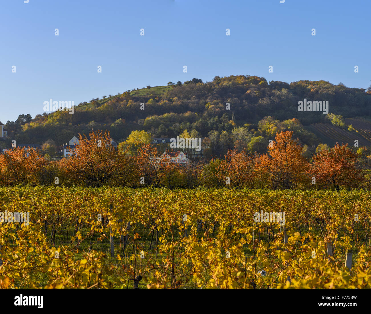 Donnerkirchen, Burgenland, Österreich, Austria, Donnerskirchen Stockfoto