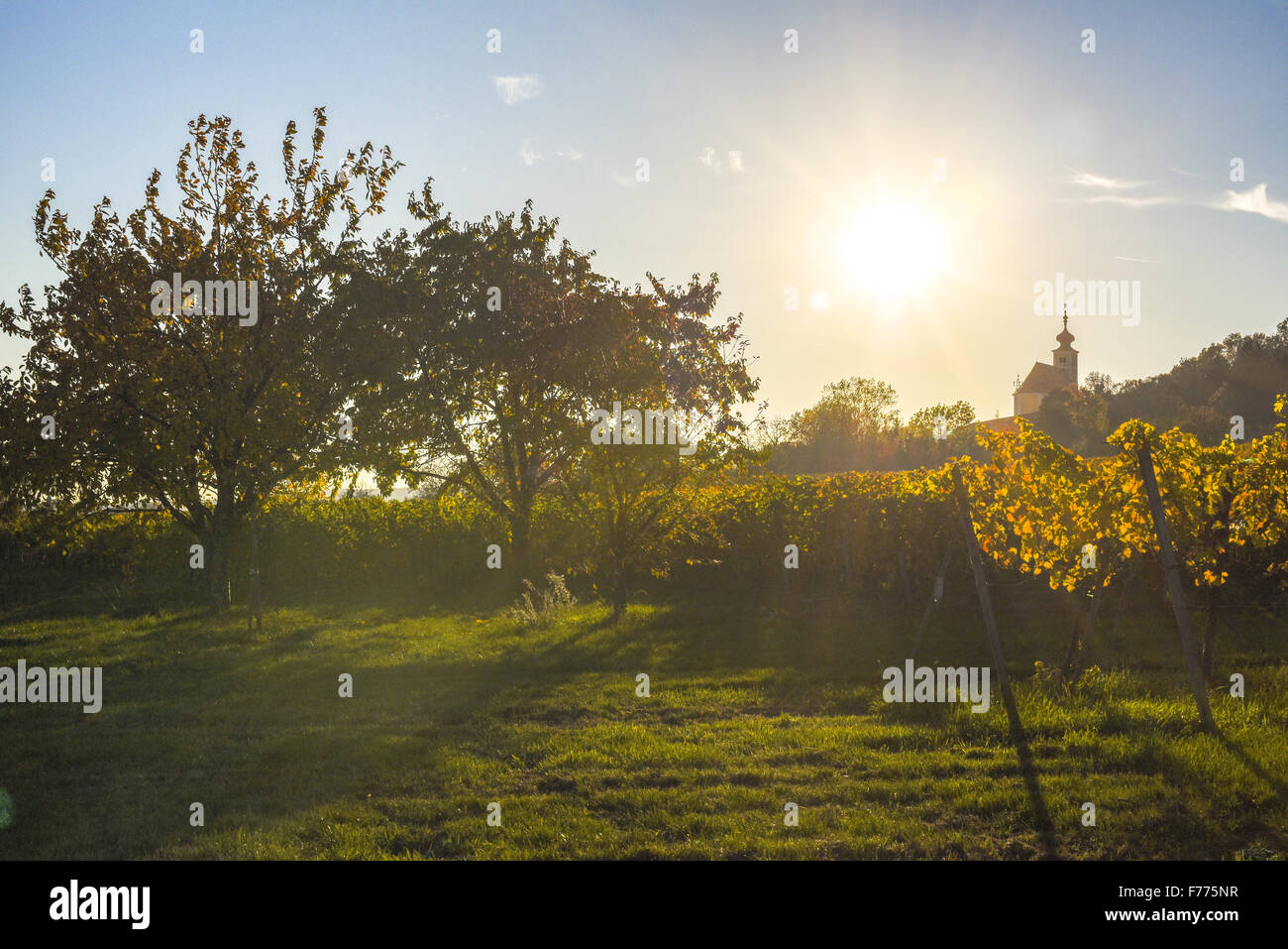 Donnerkirchen, Burgenland, Österreich, Austria, Donnerskirchen Stockfoto