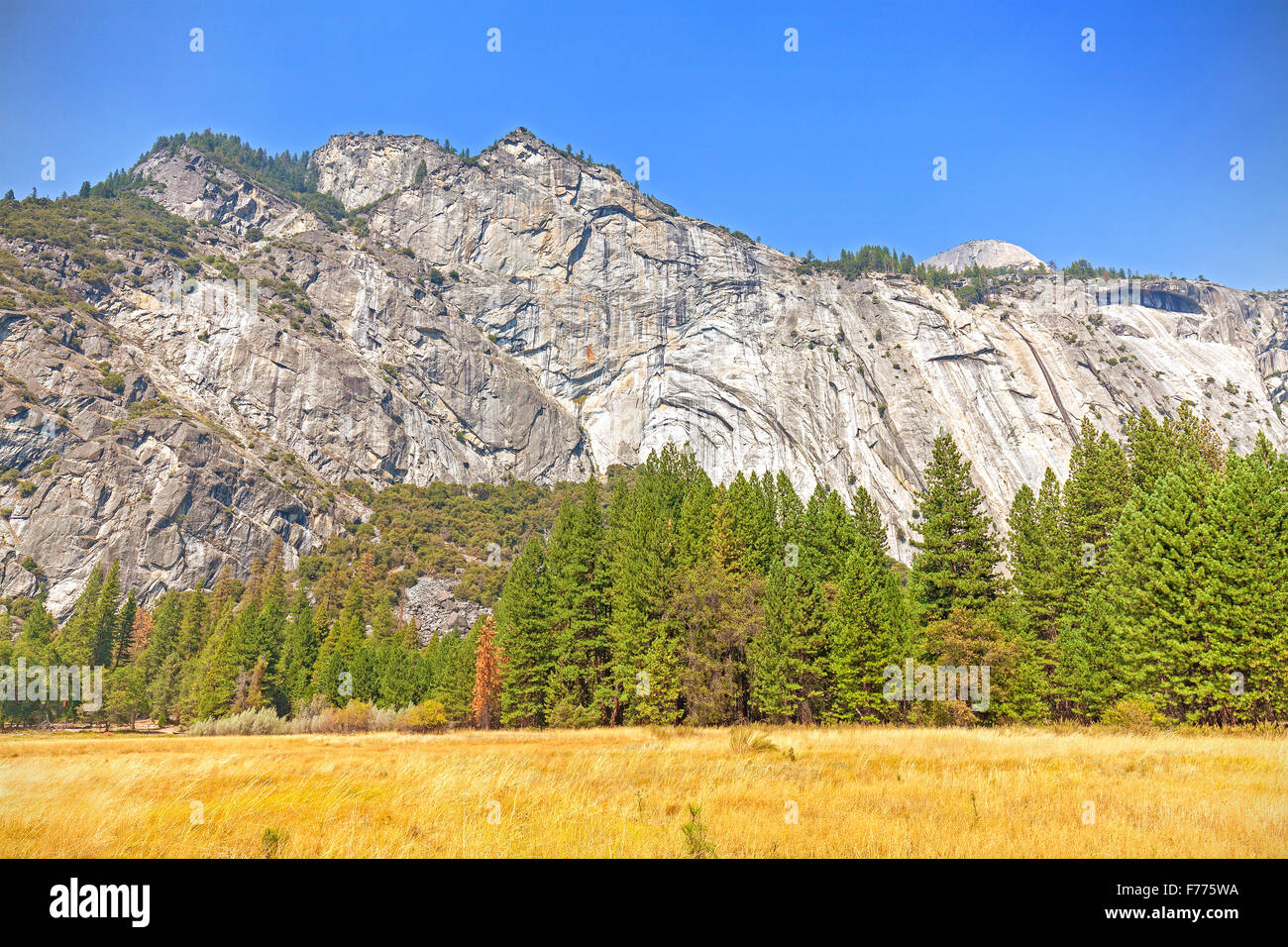 Berglandschaft im Yosemite National Park, USA. Stockfoto