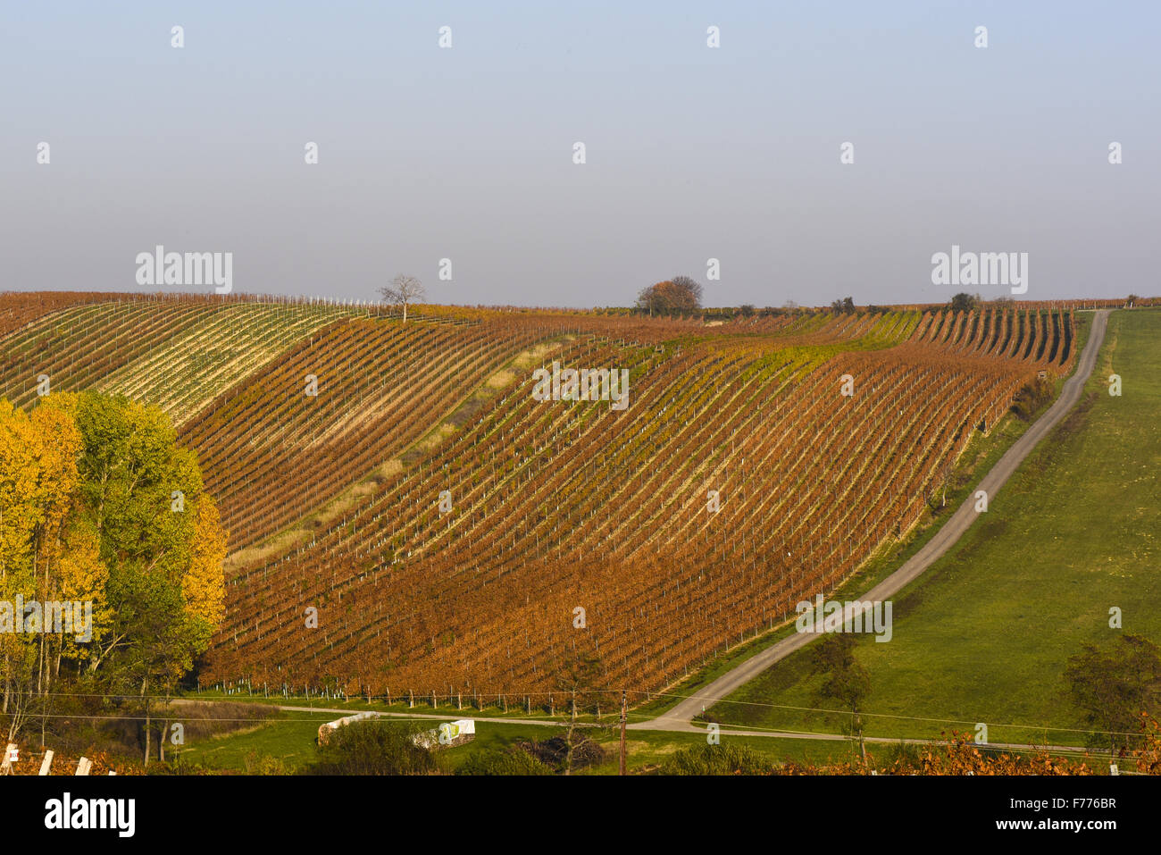 Deutschkreutz, Burgenland, Österreich Stockfoto