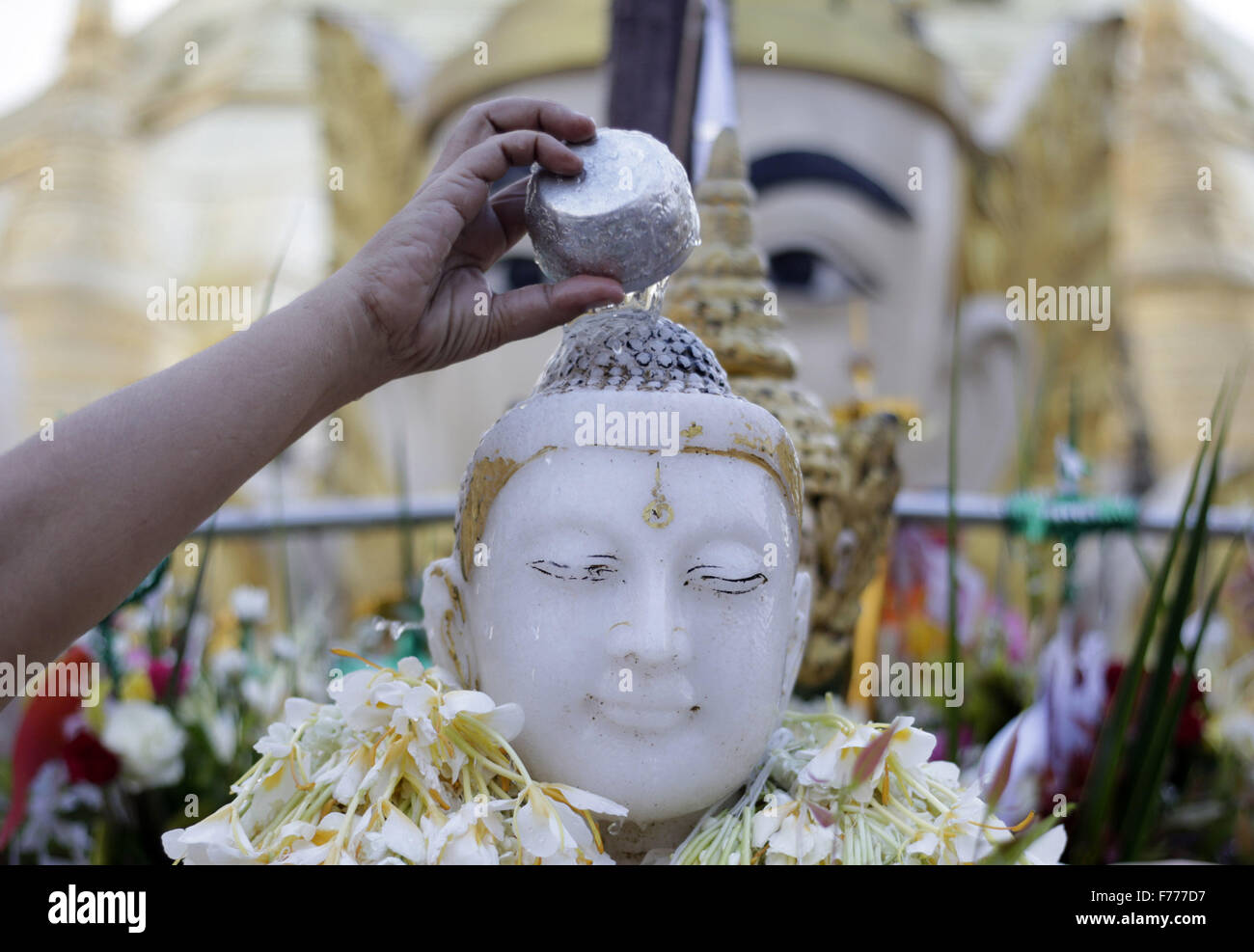 (151126)--YANGON, 26. November 2015 (Xinhua)--ein Devotee gießt Wasser über eine Buddhastatue auf Myanmars Tazaungdaing Volksfest an der Shwedagon-Pagode in Yangon, Myanmar, 26. November 2015. Das Tazaungdaing-Festival, auch bekannt als das Festival of Lights am Tag des Vollmonds im achten Monat des traditionellen Myanmar Kalenders fällt in Myanmar als nationaler Feiertag gefeiert und markiert das Ende der Regenzeit. (Xinhua/U Aung) Stockfoto