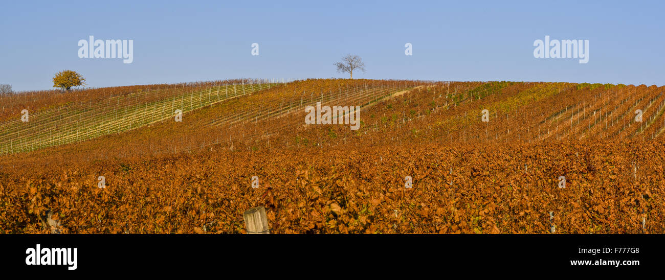 Deutschkreutz, Burgenland, Österreich Stockfoto