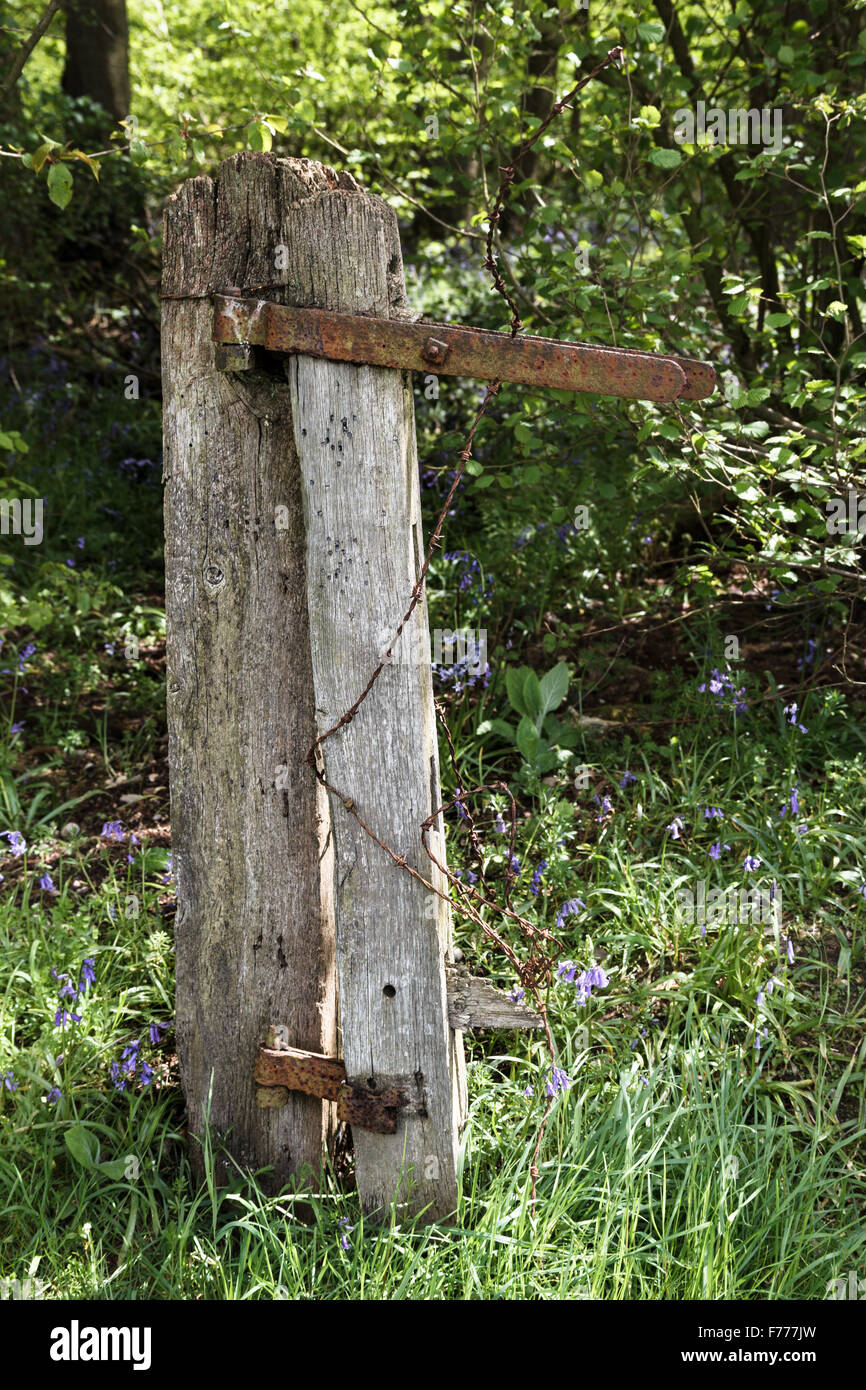 Verfallenes altes rostiges Tor Posten im Wald Stockfoto