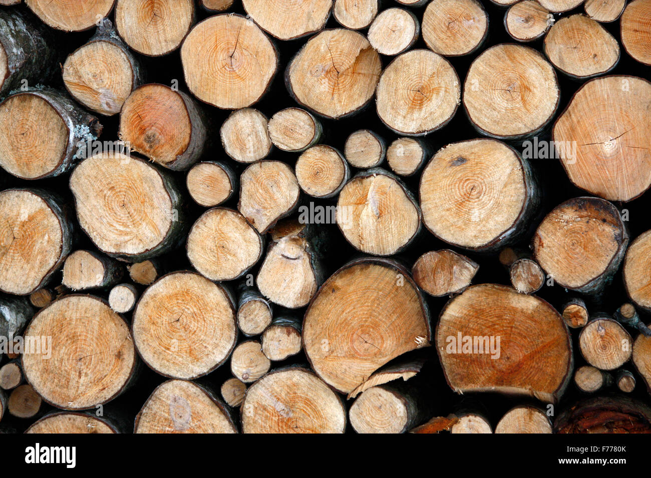 Holz. Stockfoto