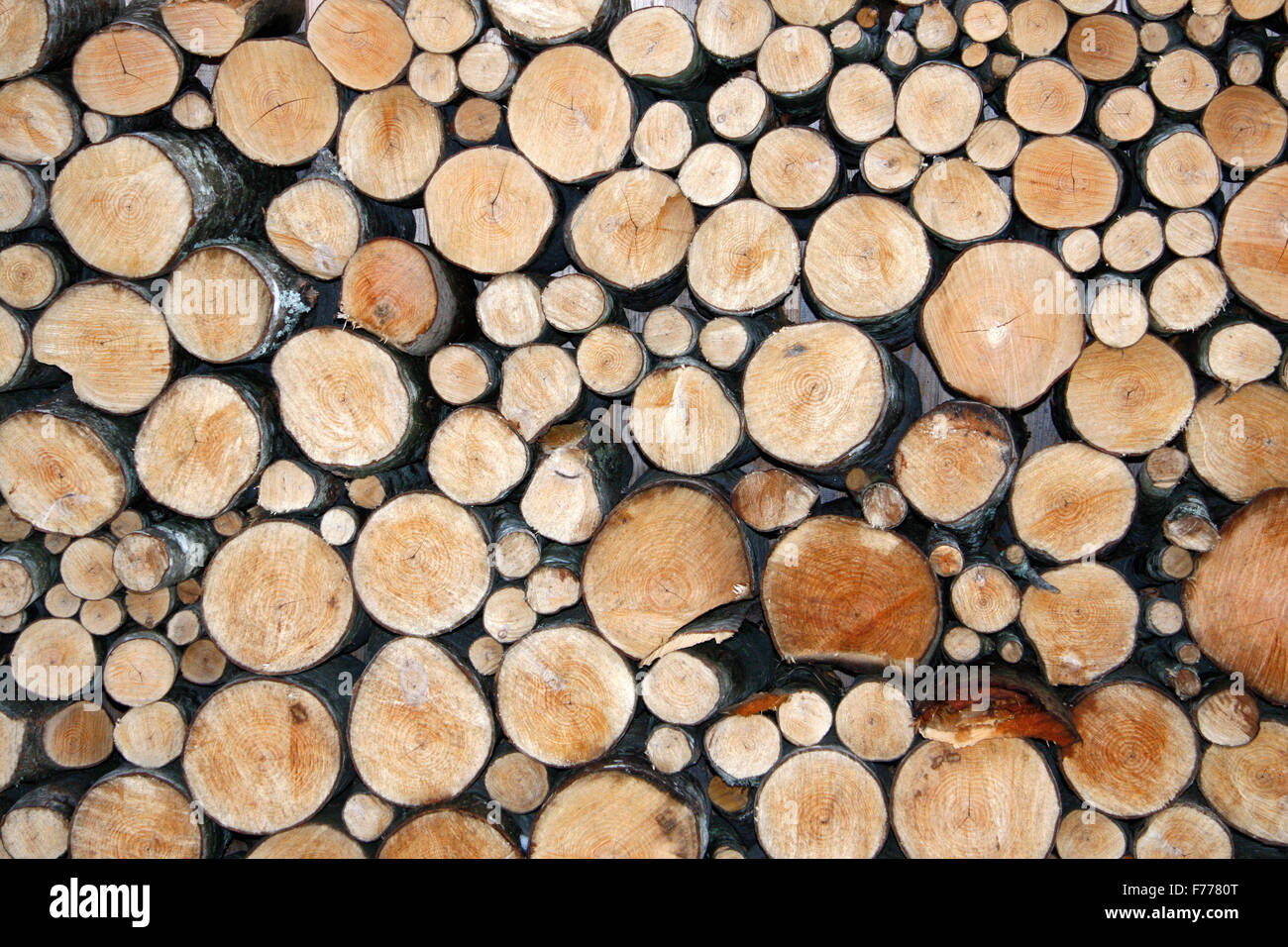 Holz. Stockfoto
