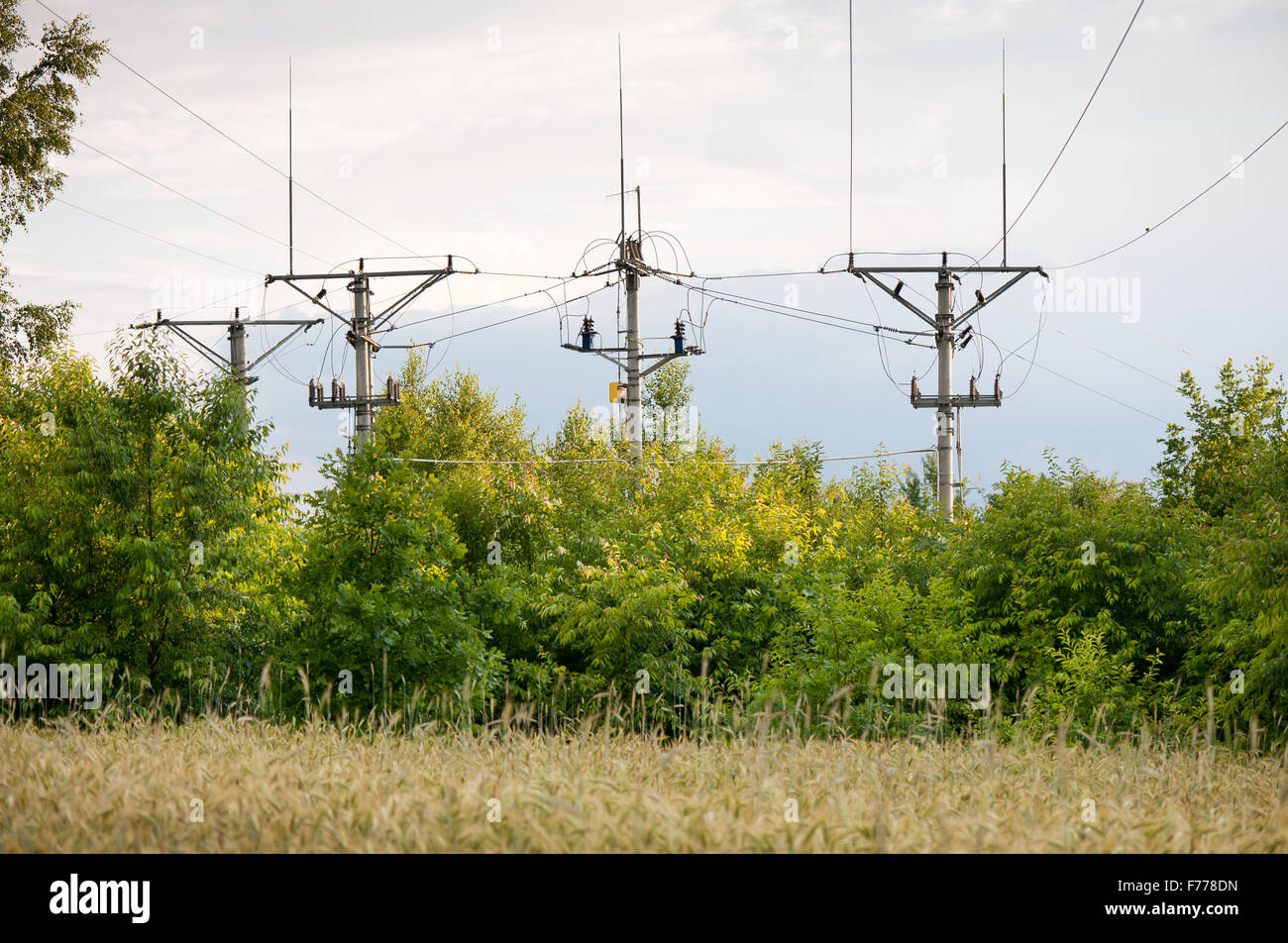 Elektrische Energie Übertragung Säulen oder Power Grid Pylon Drähte, vier elektrische hochenergetische Türme bauen in Getreidefeldern Stockfoto