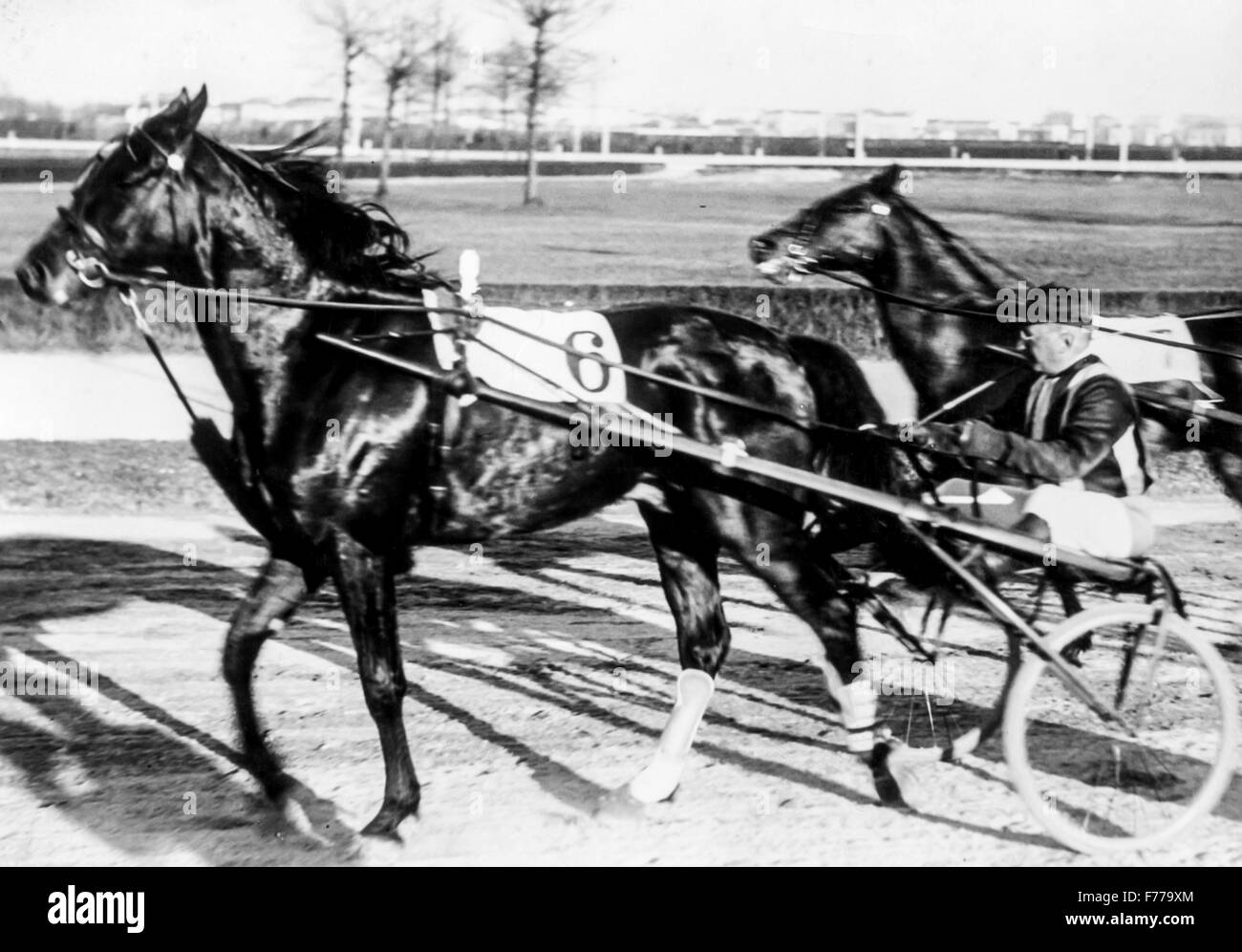Traber Pferde-Rennen, Gran Premio Milano, gewonnen durch Muscletone unter der Leitung von Finn, Rennbahn Mailand 1935 Stockfoto