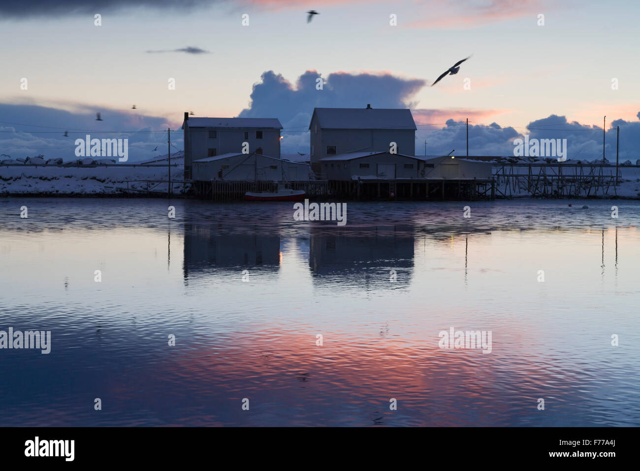 Fischerhafen in der Abenddämmerung. Lofoten-Norwegen Stockfoto