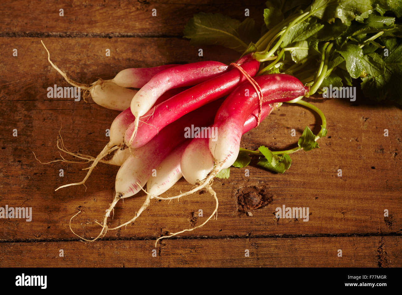 Reihe von französischen Frühstück Radieschen Stockfoto