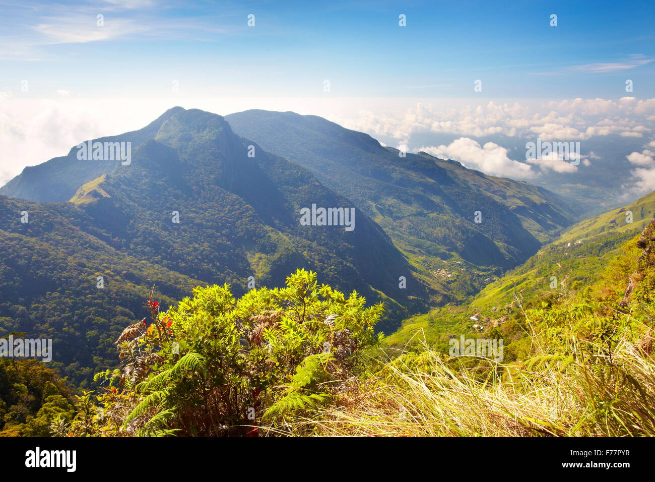 Sri Lanka - Landschaft des Nationalparks Horton Plains Blick vom "Ende der Welt" Stockfoto