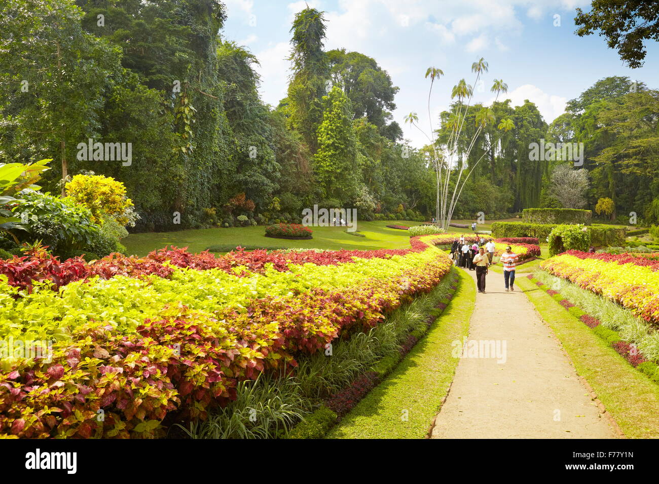 Sri Lanka - Kandy, Peradeniya botanische Garten Stockfoto