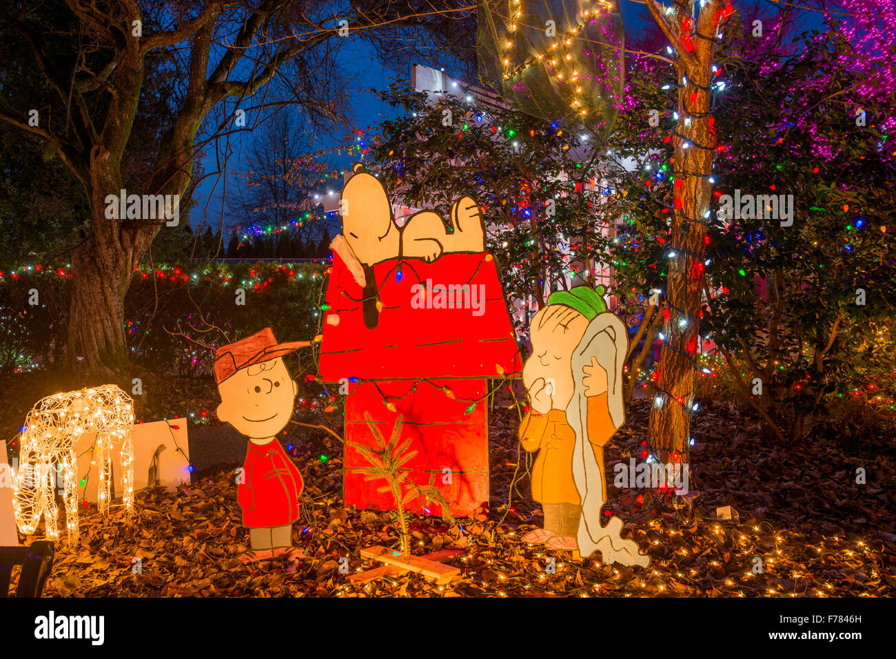 Christmas Light display, Park und Gärten Tilford, N. Vancouver, British Columbia, Kanada Stockfoto