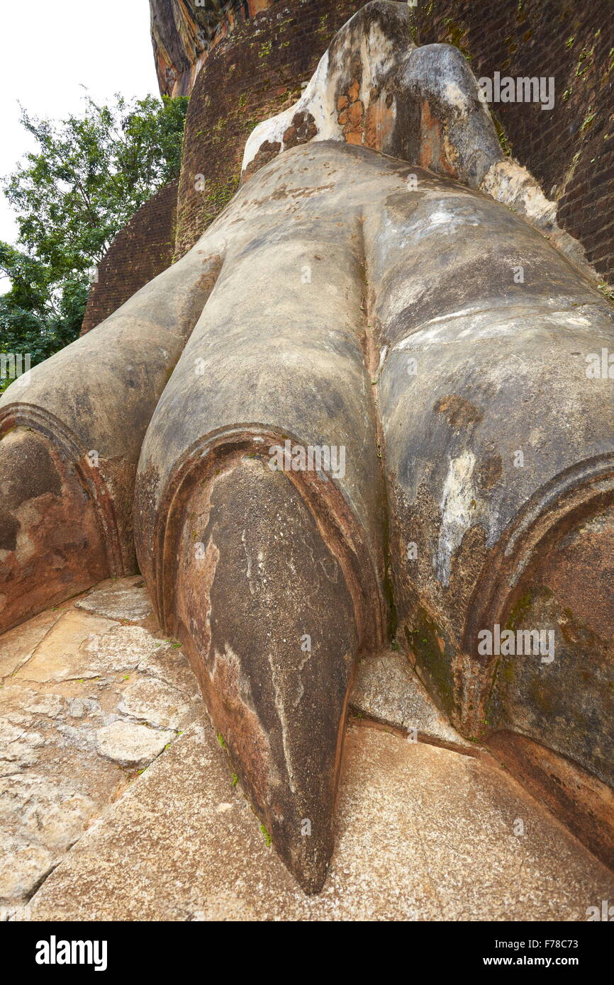 Sri Lanka - Löwenstein Anschnittdetail, alte Festung Sigiriya, UNESCO Stockfoto