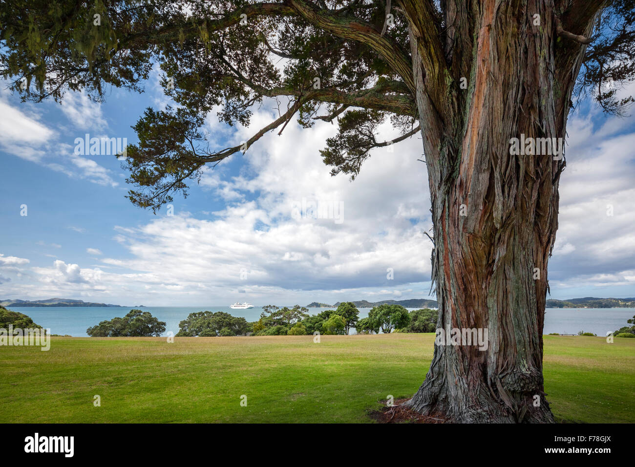 Neuseeland. Waitangi Treaty Grounds und der Bay of Islands. Kreuzfahrt Schiff Luxusliner in der Bucht. Stockfoto