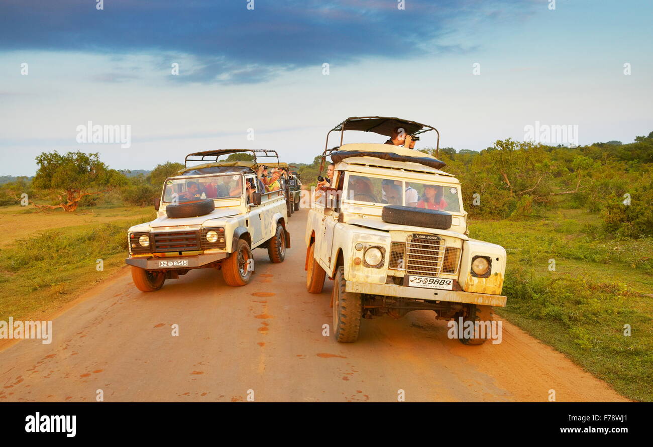 Sri Lanka - Yala-Nationalpark, off Road-Jeep-safari Stockfoto
