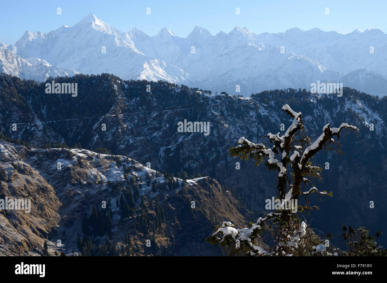 Panchchuli Peaks, munsyari, Munsiyari, munsiari, Kumaon, Himalaya, uttarakhand, indien, asien Stockfoto