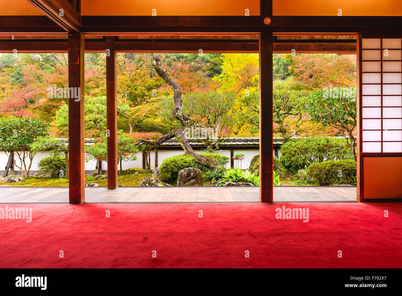 Nara, Japan Shoryaku-Ji-Tempel im Herbst. Stockfoto