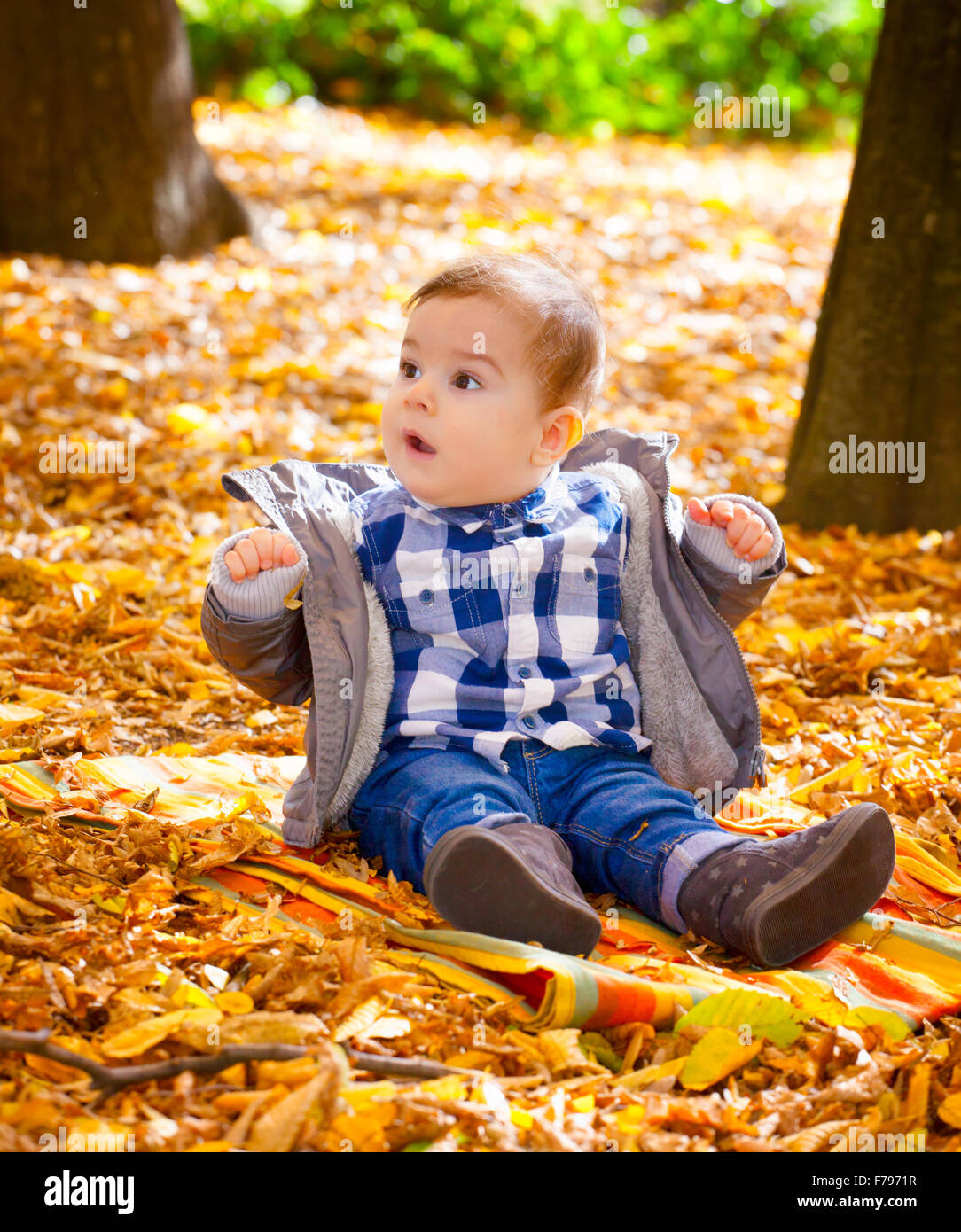 Porträt von 8 Monate alten Baby Boy genießen ein Herbsttag im Park zwischen Bäume und Blätter. Stockfoto