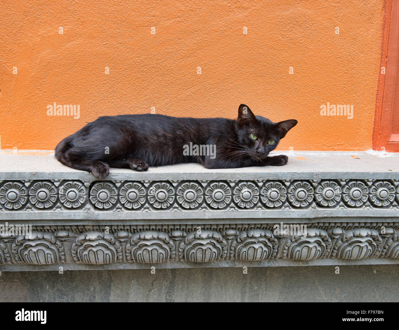 Katze schläft im Tempel, Siem Reap, Kambodscha Stockfoto