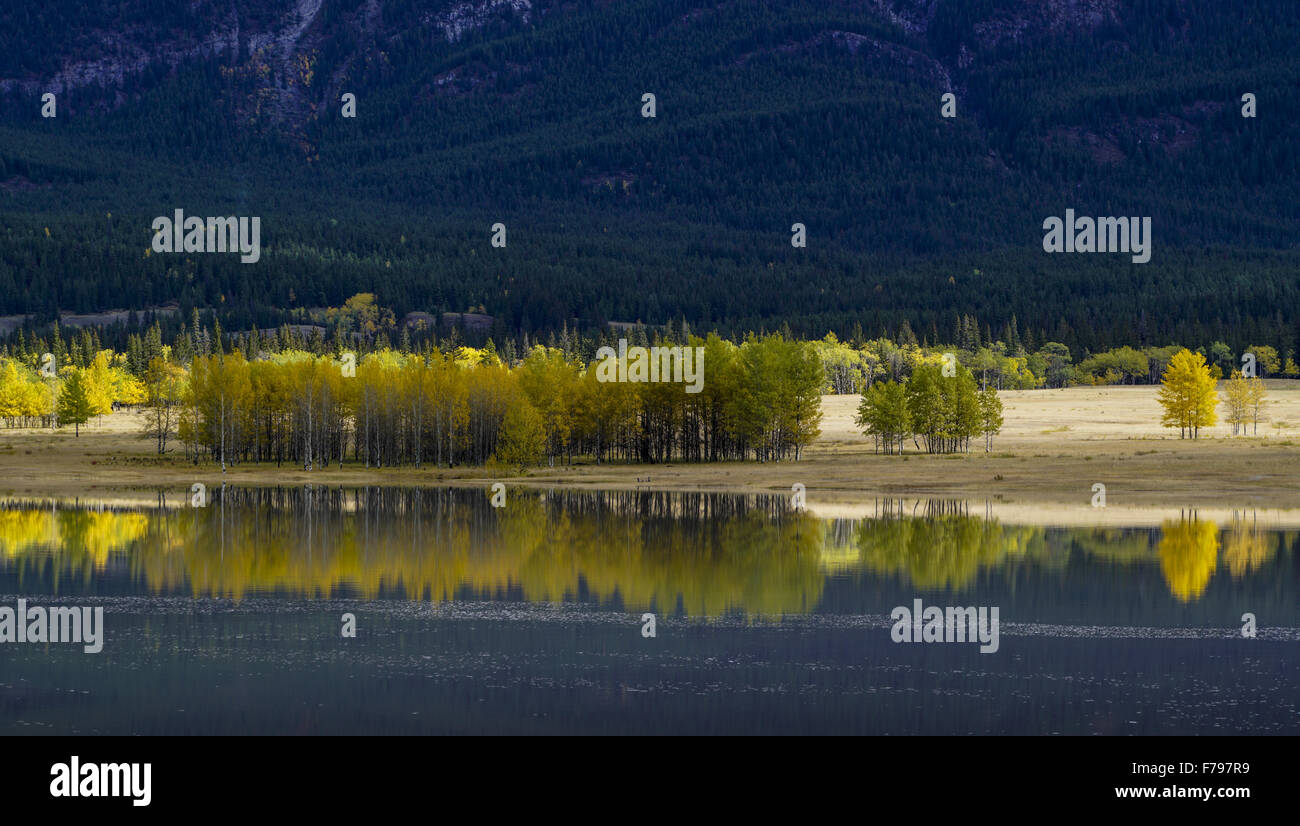 Natur-Wildnis, bunte Rückgang der Rocky Mountains, Kanada, Nordamerika, Reisen, Britisch-Kolumbien, Kanada Stockfoto