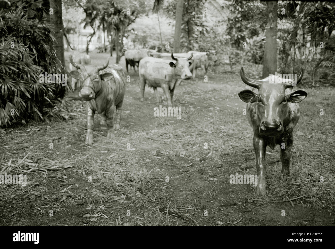 Reise Fotografie - moderne Kunst von Kühen in Bangkok, Thailand in Südostasien im Fernen Osten. Kuh Tier Tiere Bizarre Konzeptionelle Stockfoto