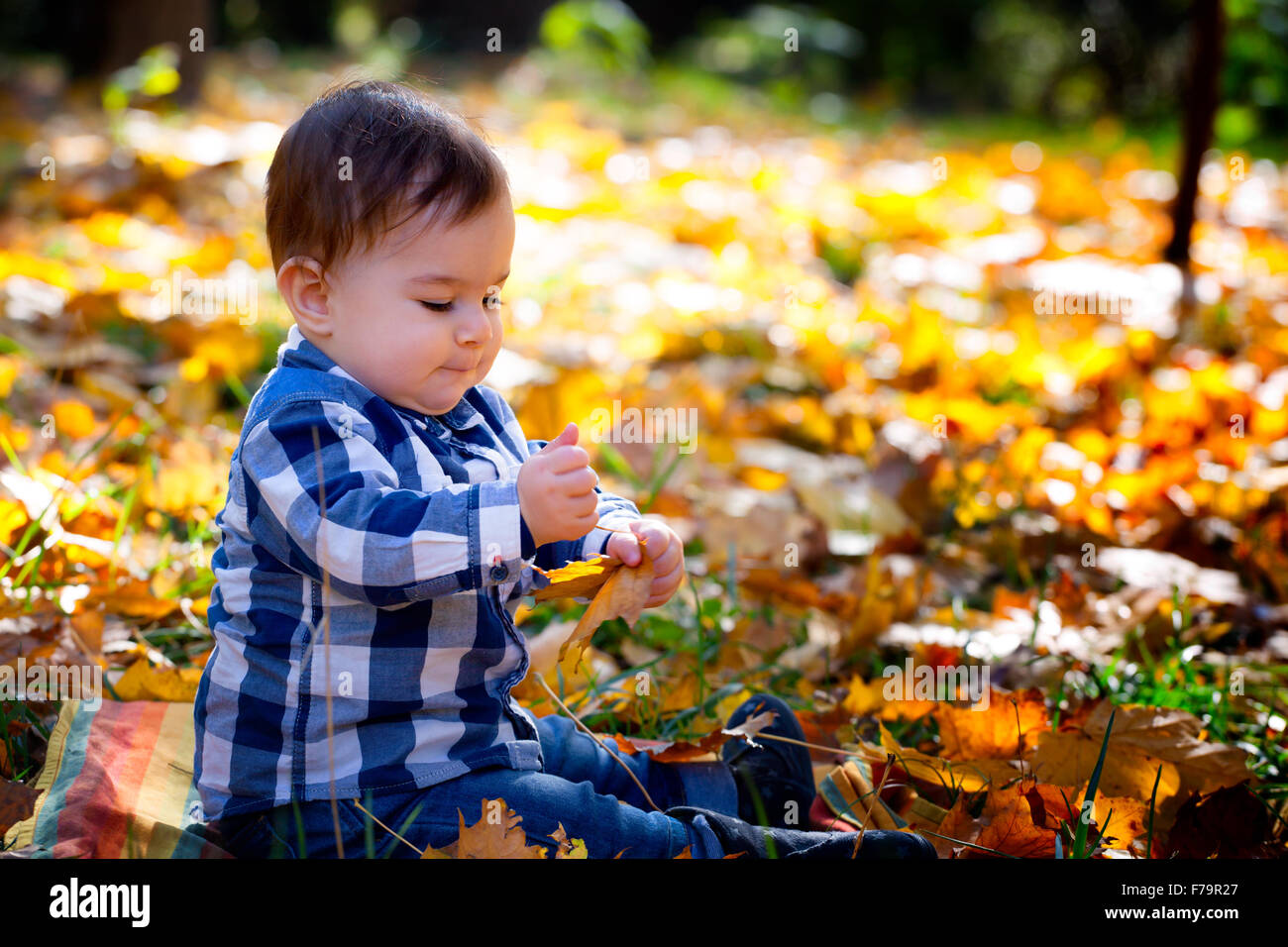 Porträt von 8 Monate alten Baby Boy genießen ein Herbsttag im Park zwischen Bäume und Blätter. Stockfoto