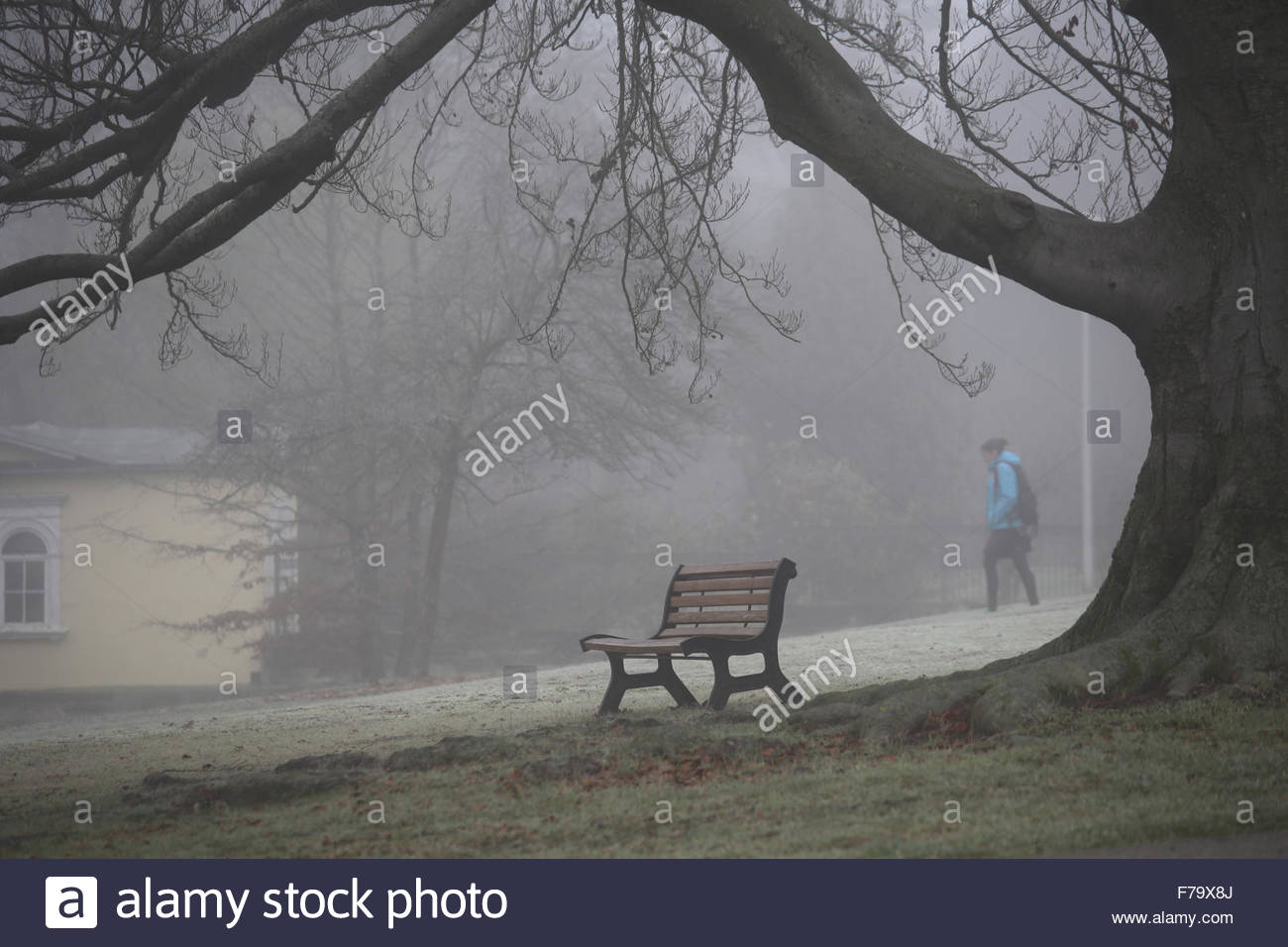 Coburg, Deutschland. 27. November 2015. Ein Grabtuch aus dichtem Nebel stieg über Nacht auf Nordbayern ab, als die Wintertemperaturen zu sinken begannen. Kredit: Reallifephotos/Alamy Live Nachrichten Stockfoto