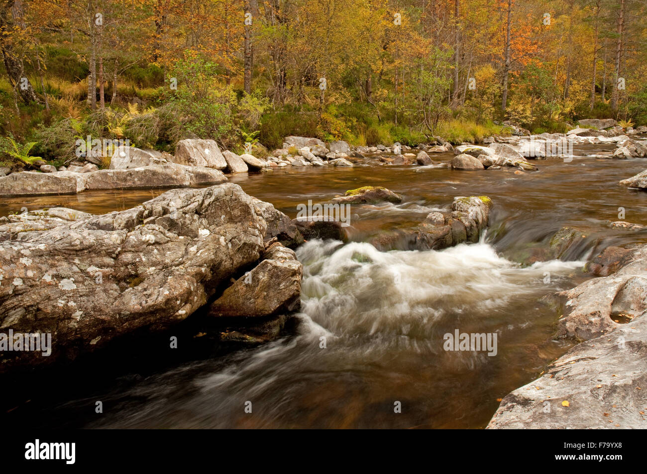 Glen Affric im Herbst Stockfoto