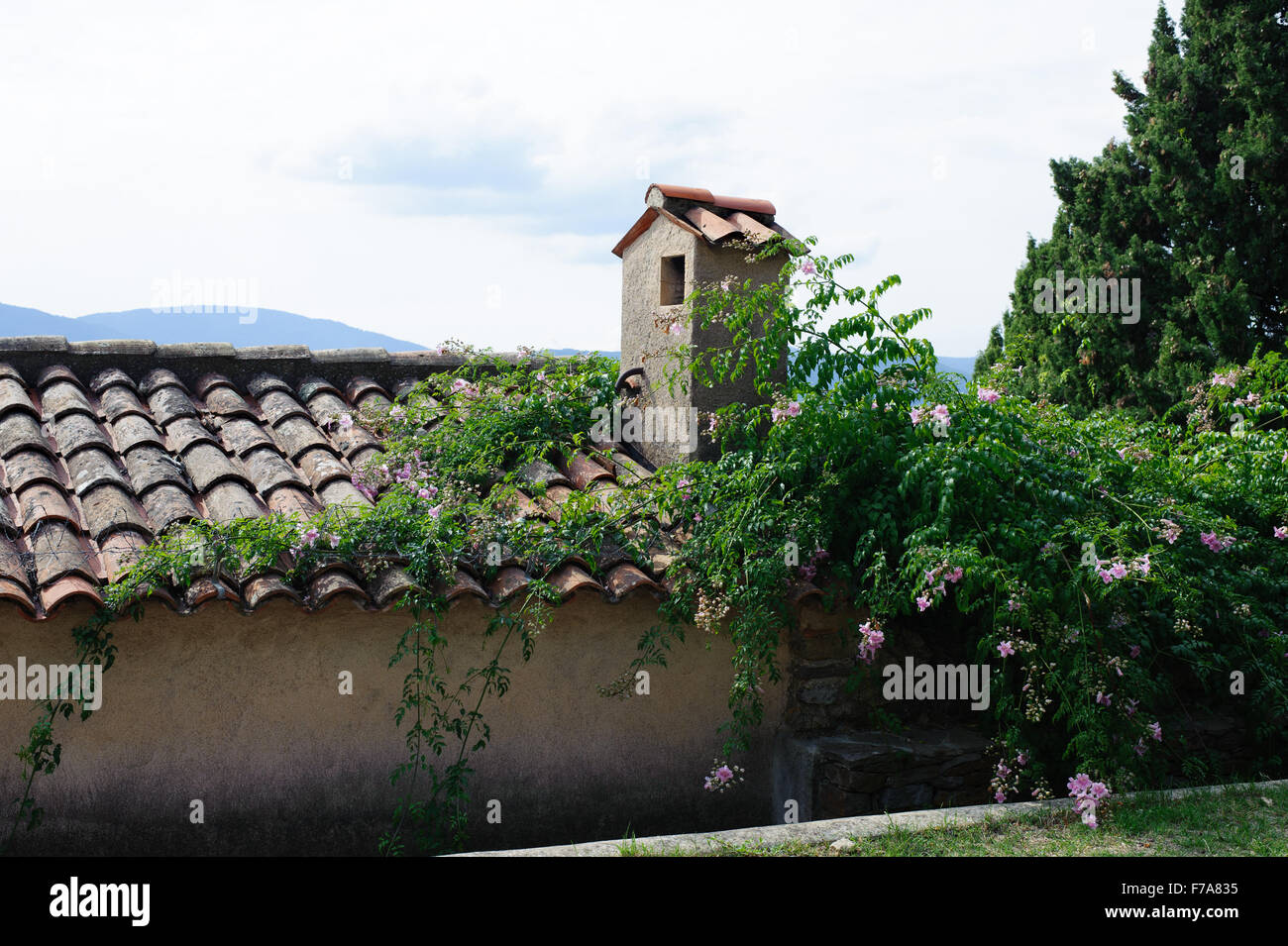 Blick auf den alten Ziegeldach und Wand in einem schönen grünen Garten Stockfoto