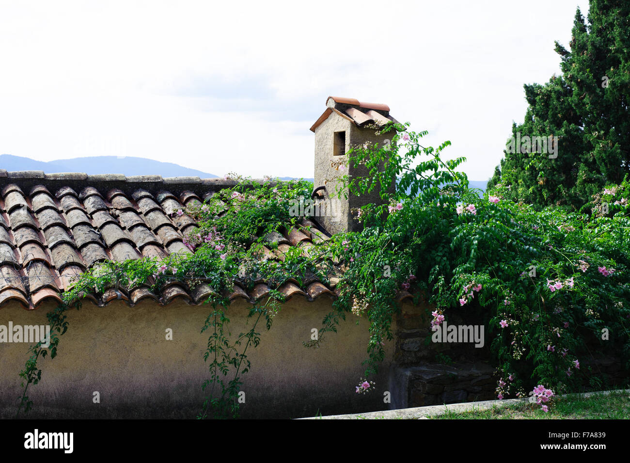 Alten Ziegeldach um einen grünen Garten in Frankreich Stockfoto
