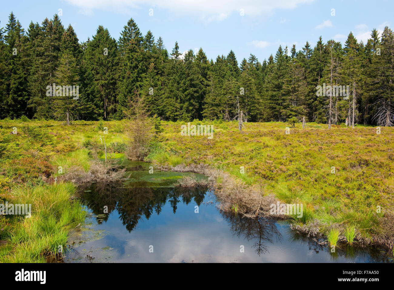 Naturschutzgebiet thüringen Fotos und Bildmaterial in hoher Auflösung