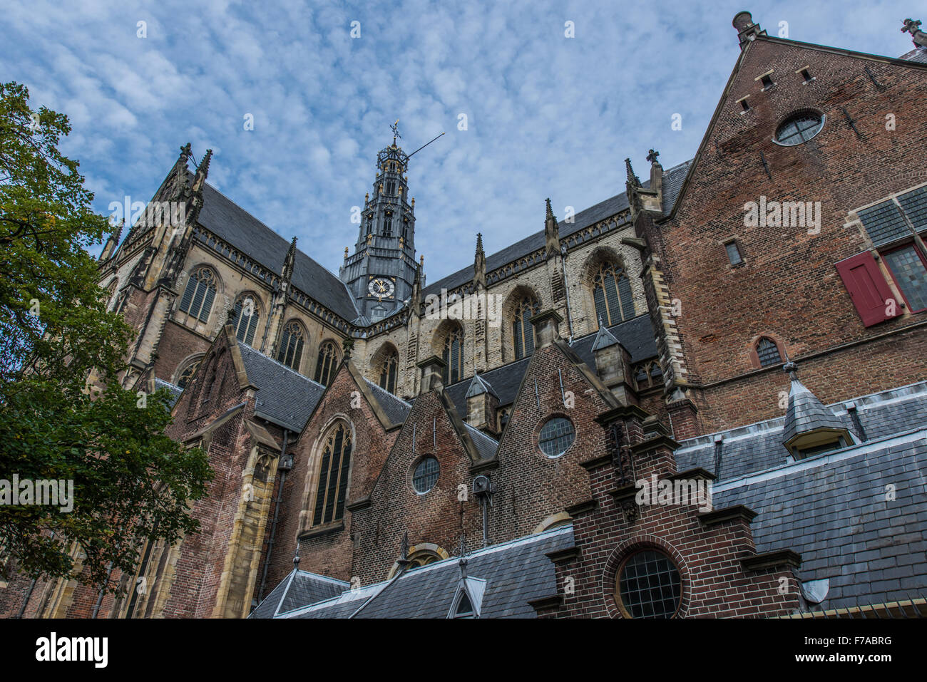 Die Sint Bavo-Kirche in Haarlem die ist die größte Kirche in den Niederlanden und hat eine katholische und evangelische Kirche Stockfoto